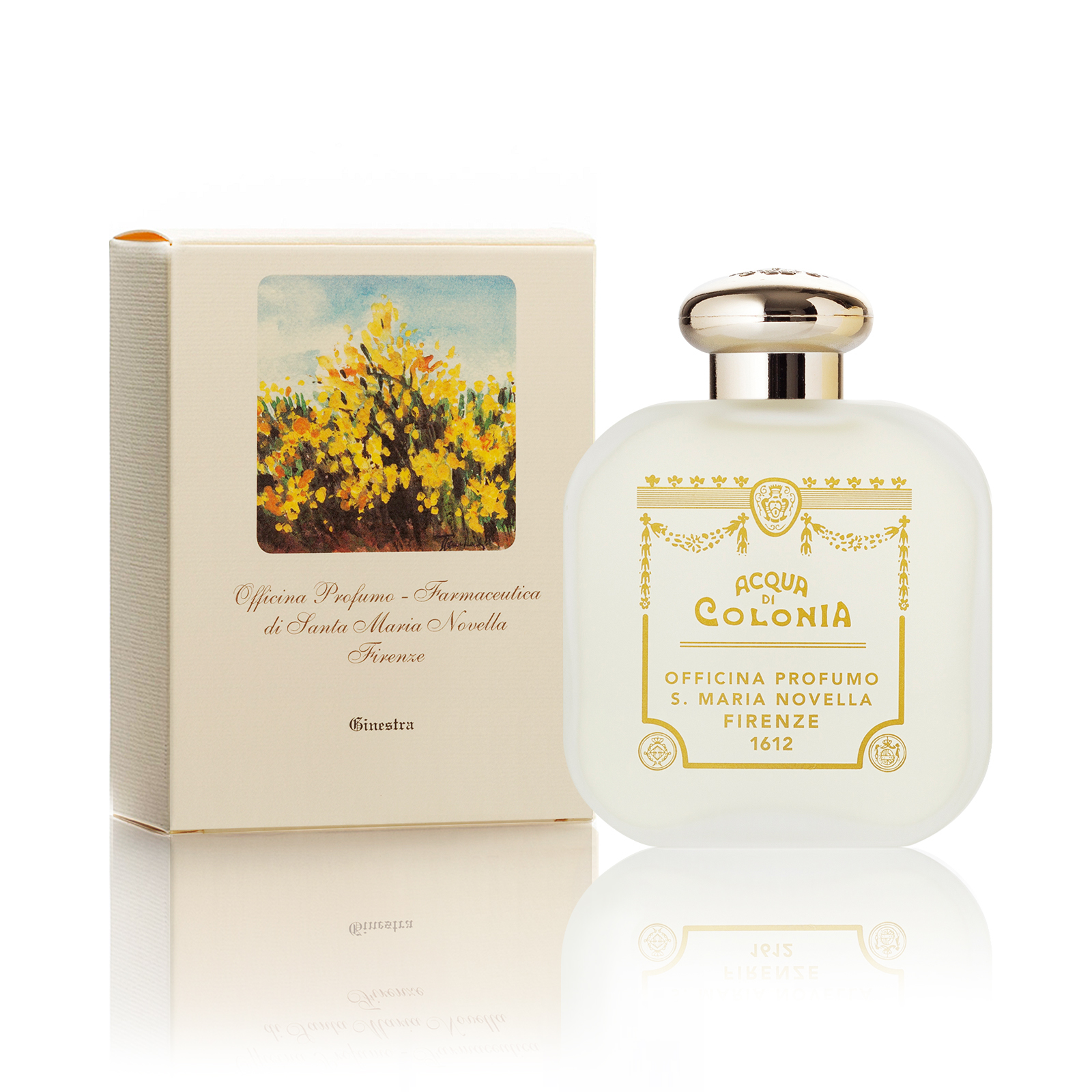 ginestra perfume